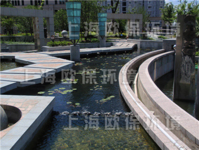 濱河跌水池清澈見底