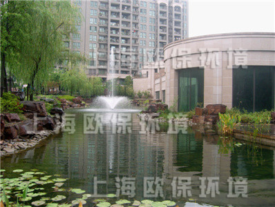會所景觀水體清澈見底