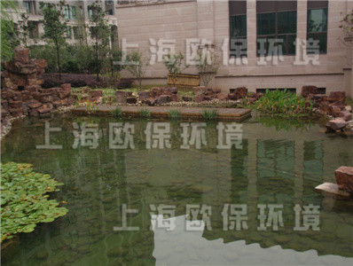 清水養魚,清澈見底景觀水池,景觀魚池治理,景觀水治理