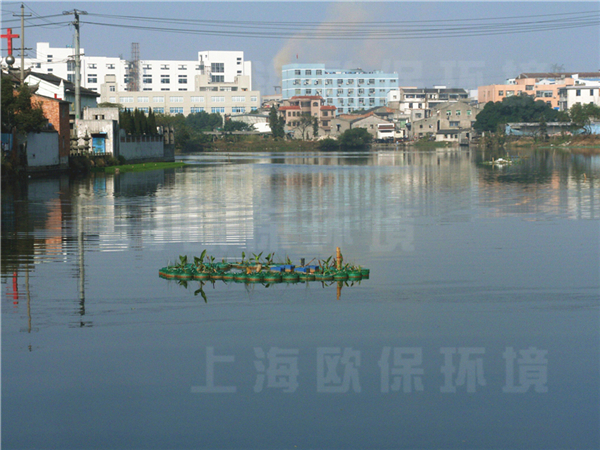 溫州上莊河道治理——強力造流曝氣機與生態浮島的結合