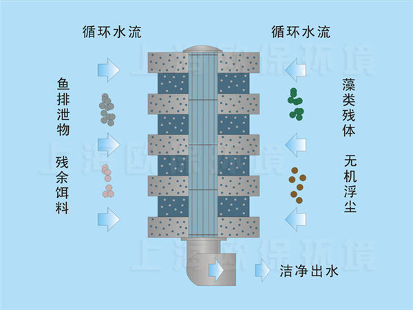 箱式生物過濾單元凈水機(jī)理