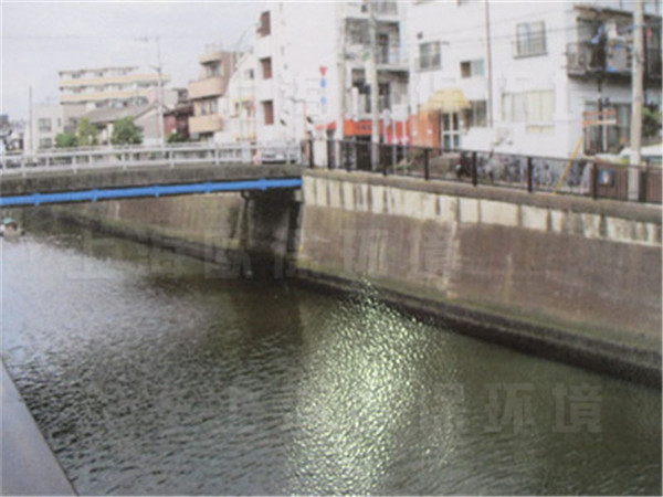 使用藍藻消除劑后，漂浮物沉降，并逐漸消解