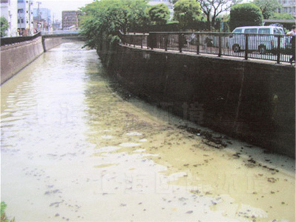 使用藍藻消除劑前，水質劣五類