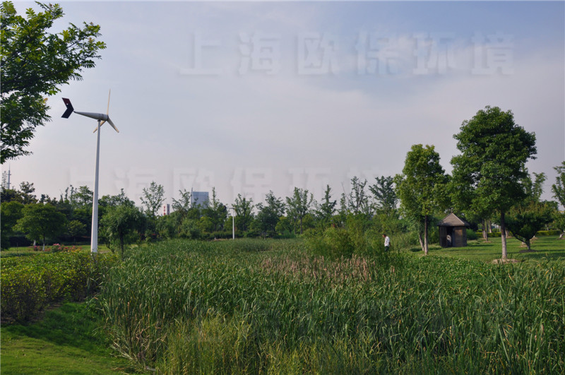 生物鏈不完整，植物過度繁殖，遮蔽水體