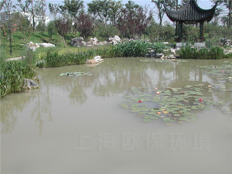 新建邊坡的不穩(wěn)定，泥沙流失到湖體中造成水體濁度升高