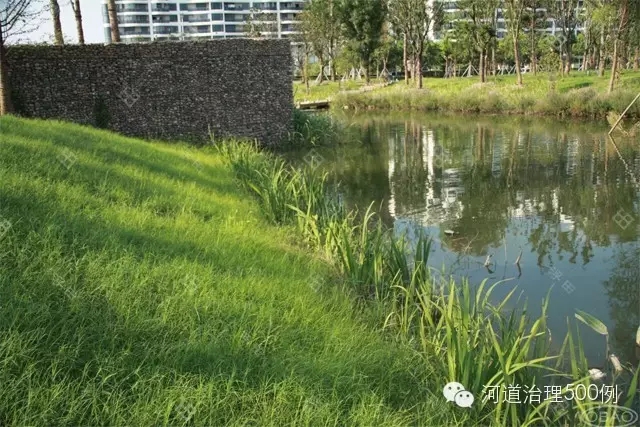 自然岸線-河道生態治理