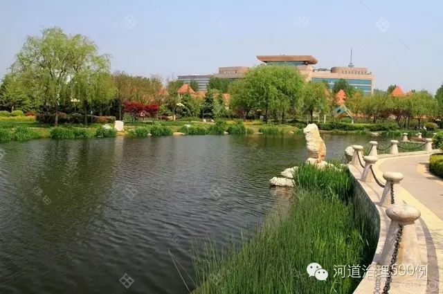 生態護岸2-河道生態治理