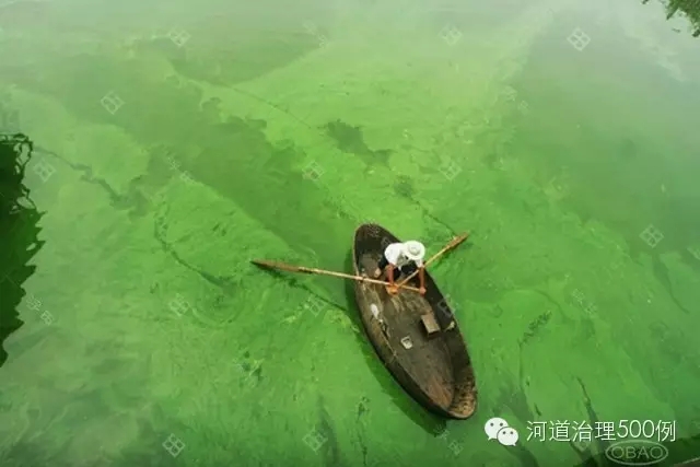農業污染排入河流后