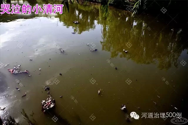 小清河污染不斷 小清河污染不斷
