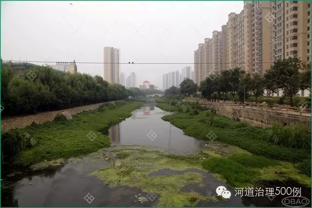 小清河現(xiàn)狀一角,仍有部分地方改善不佳 小清河現(xiàn)狀一角,仍有部分地方改善不佳