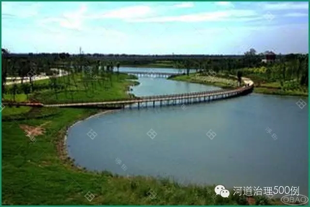 植物護(hù)坡