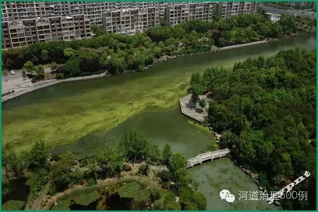 最近,隨著氣溫逐漸升高,各地藍(lán)藻現(xiàn)象頻繁 最近,隨著氣溫逐漸升高,各地藍(lán)藻現(xiàn)象頻繁