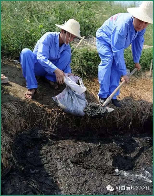 藍(lán)藻變身“有機肥” 藍(lán)藻變身“有機肥”