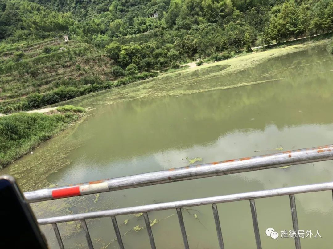 白沙水庫藍藻爆發