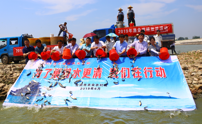 400萬尾鰱魚放入巢湖“吃”藍藻，治藻的對策應該是除藻抑藻