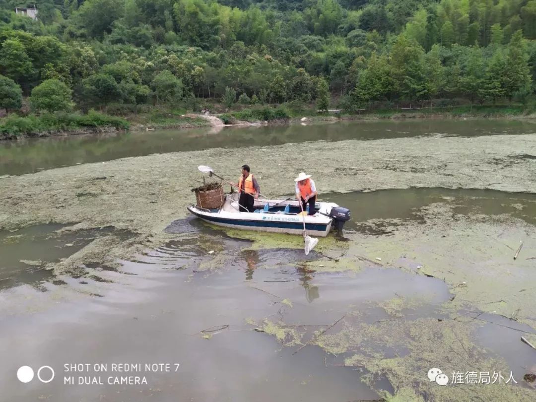 人工打撈藍藻白沙水庫