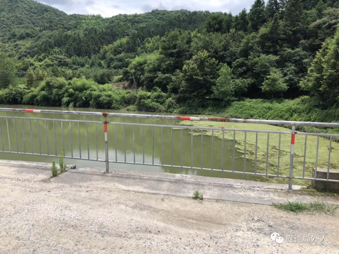白沙水庫藍藻爆發污染水源地