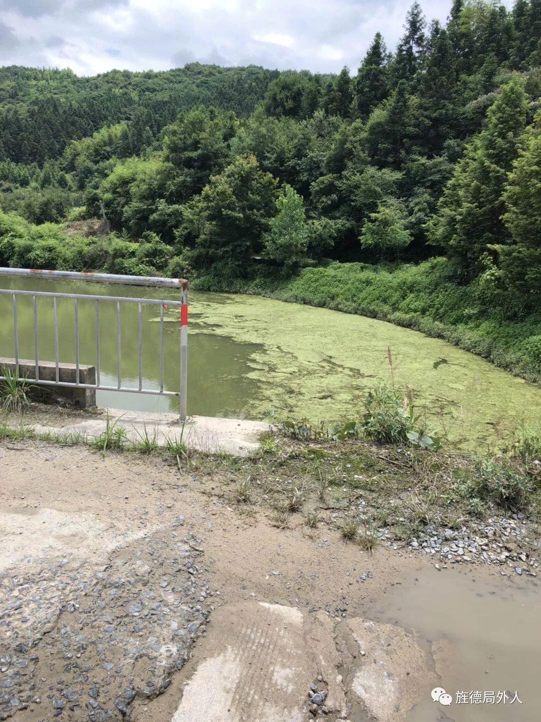 網友提供白沙水庫藍藻爆發