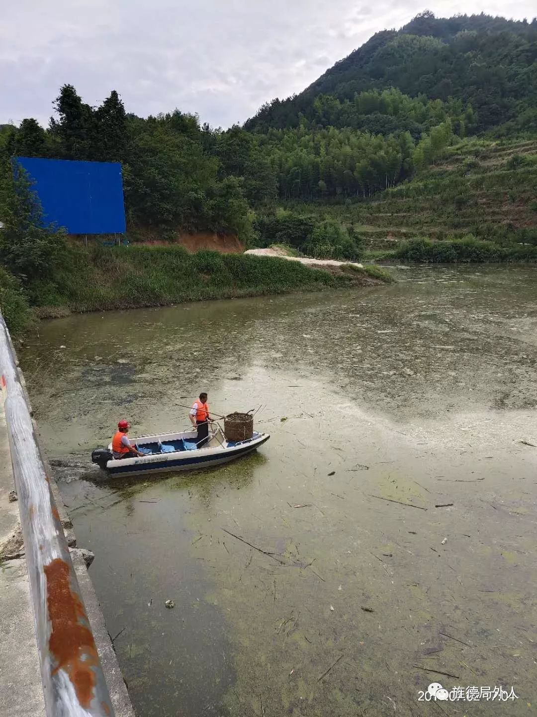 人工打撈藍藻白沙水庫