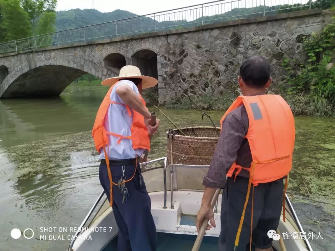 人工打撈藍藻白沙水庫
