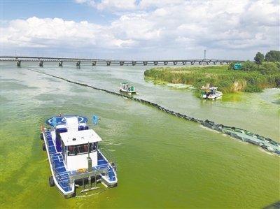 江浙防治太湖藍藻水華實行信息共享 協同治理 監測數據及時共享 防治應對有備無患