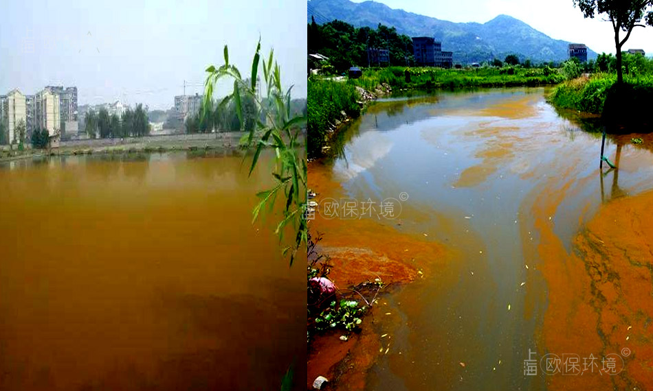 裸藻門通常大量的生存在平靜的內陸水體，在池塘、水溝的表面形成綠色或者紅色的水華