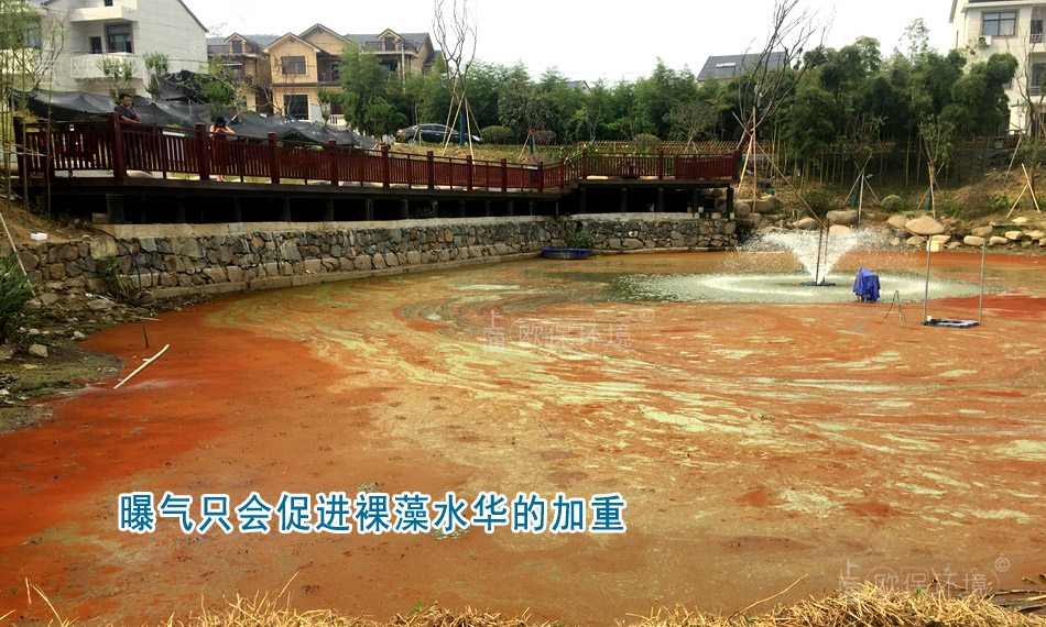 不當的曝氣只會促進裸藻水華的加重