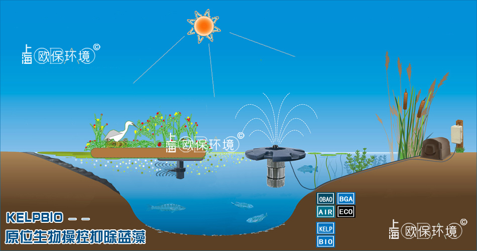 歐保KELPBIO生物操控抑除藍藻技術原理