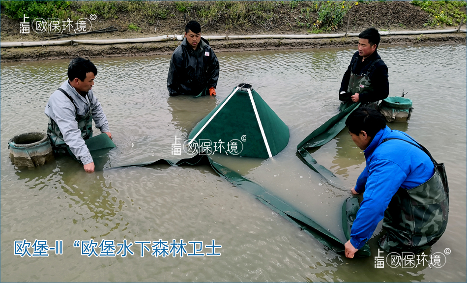 歐堡-II“歐堡水下森林衛士”，適合坑塘凈化，提高水體透明度,另外具有良好的脫氮除磷效果，對于采用“水下森林”的凈水方式，是一道很好的安全防護線。