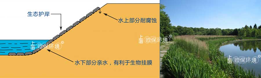 柔性生態護岸