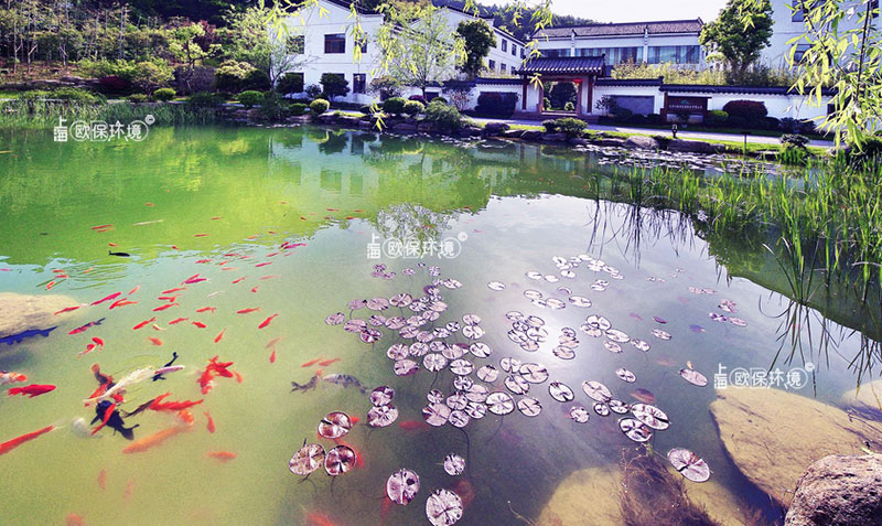 潛水生態(tài)凈化墻（浸沒式生物反應(yīng)墻）實(shí)物照片