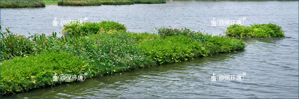 浮式處理濕地（FTWS）是由浮島單元組成，其上有含有挺水植物的和漂浮載體。浮島（傳統(tǒng)的植被濕地）是一種自然現(xiàn)象，中國和越南、緬甸以及印度等地區(qū)的農(nóng)民都有著幾個世紀的水上農(nóng)耕的歷史。島上農(nóng)作物種植、水下漁業(yè)生產(chǎn)，一直處于一個長期穩(wěn)定的平衡狀態(tài)。