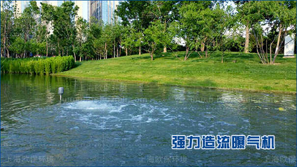 沉水造流曝氣機具有較強適應性，耐行洪