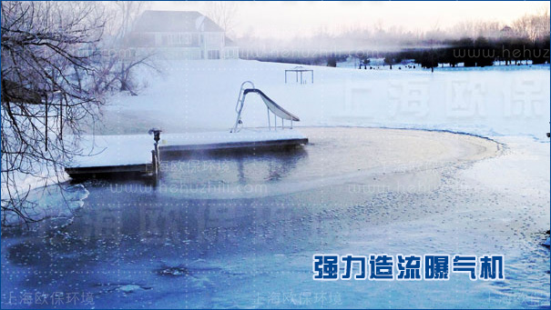 沉水造流曝氣機具有較強適應性，耐嚴寒，抗冰凍