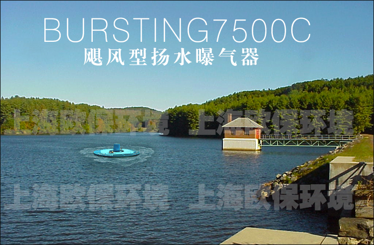 BURSTING7500C颶風型揚水曝氣器