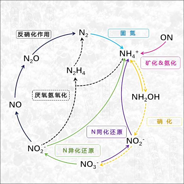 再生濾壩（ZIPBIO）：脫氮除磷