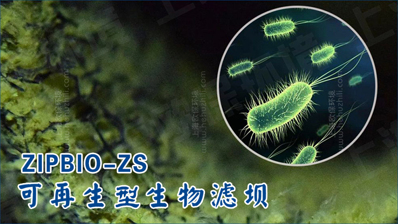 再生濾壩的核心在于將生物凈化功能與裝配式結(jié)構(gòu)有機(jī)結(jié)合。